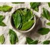  Folhas de louro (chá de louro): para que serve e como fazer o chá