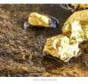 Descoberta De ‘Ouro Invisível’ Avaliado Em R$ 24 Bilhões Deixa Cientistas De Boca Aberta