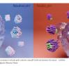 Nanorrobôs são usados para matar células cancerígenas