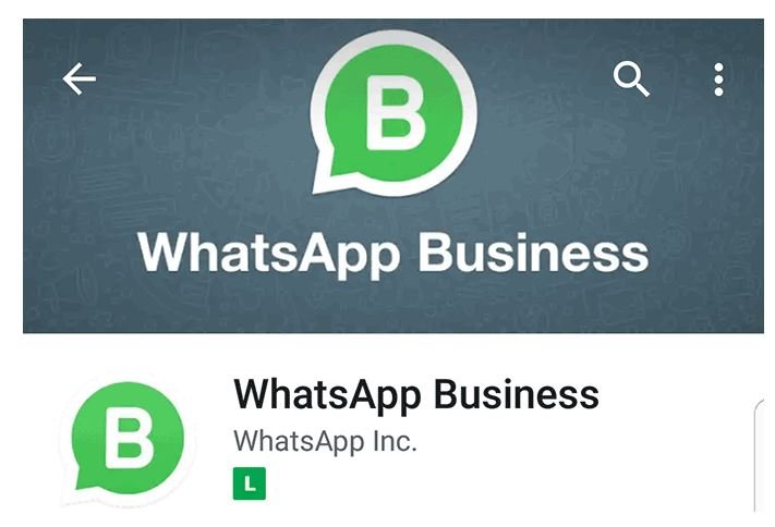 Veja como funciona o aplicativo WhatsApp Business