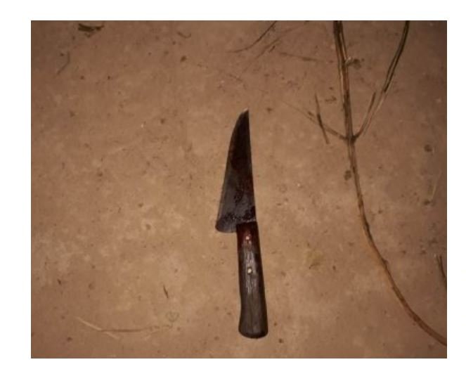 Homem é morto por colegas de trabalho em fazenda em MT