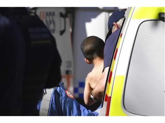 Menino de 3 anos se perde e sobrevive três dias sozinho em mata