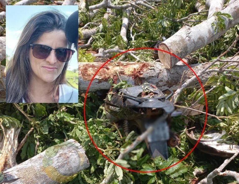 Mulher morre após ser atingida por tronco de árvore em estrada