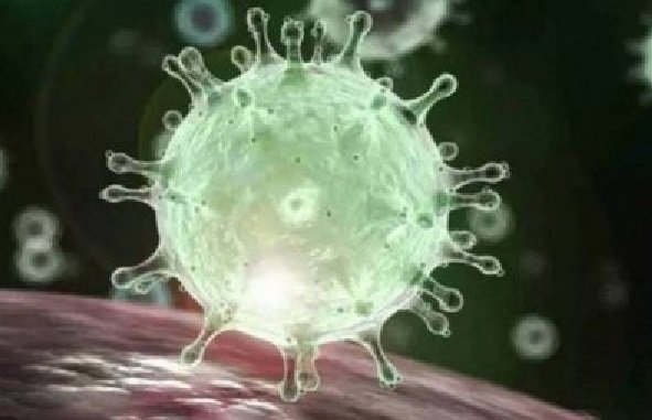 Covid-19: nova mutação da delta é identificada nos EUA