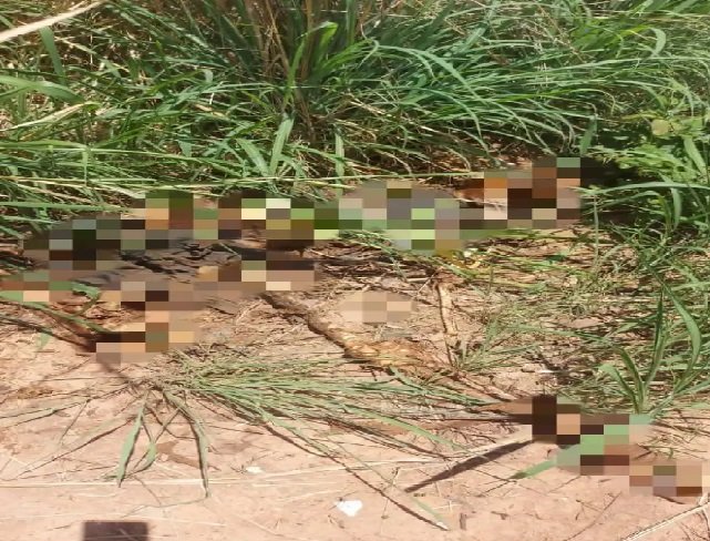 Restos mortais é encontrado em lixão na cidade de MT
