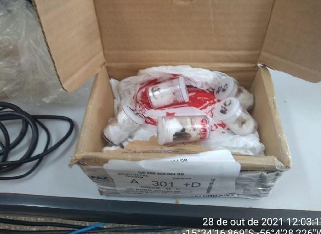 Homem é preso após receber encomenda de aranhas via Correios