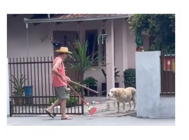Cachorro segura balde para ajudar dono a lavar calçada
