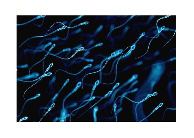 Covid-19 afeta a qualidade do esperma meses após a recuperação do paciente