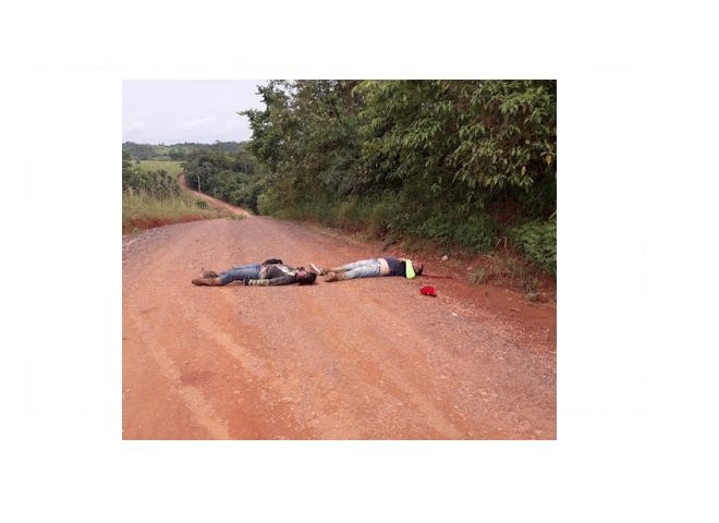 Garimpeiro mata piloto, atira no carona e foge com ouro no Pará