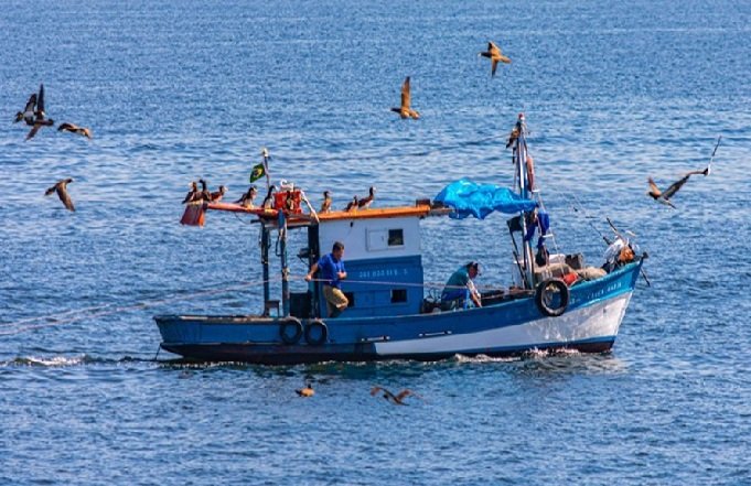 Pescadores profissionais devem fazer seu recadastramento on-line