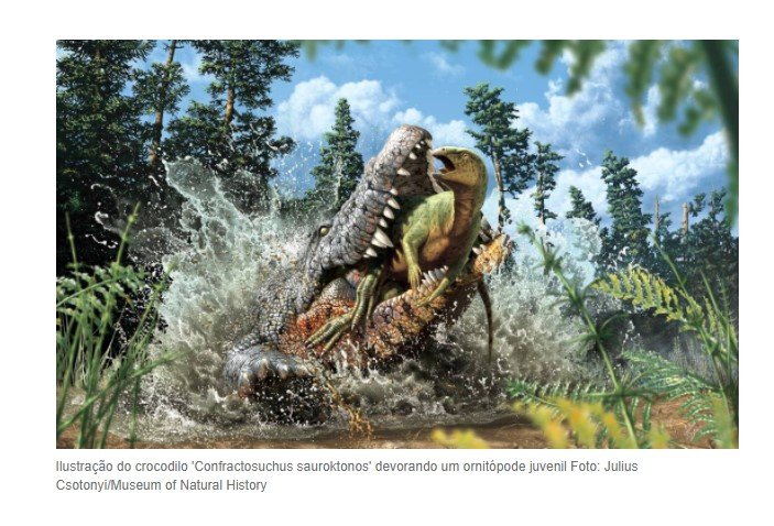 Fóssil de crocodilo que se alimenta de dinossauros é descoberto na Austrália; veja fotos