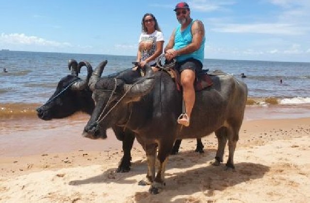 Casal de MT muda de vida e roda o país em motorhome; veja fotos