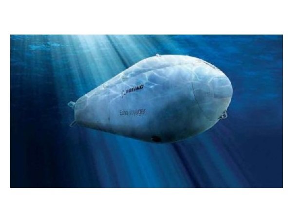 Casal é preso por tentar vender informações confidenciais sobre submarino dos EUA