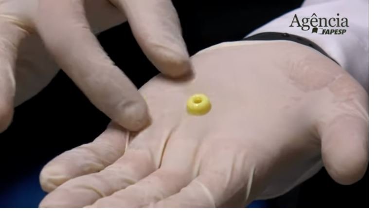 PESQUISADORES DA USP CRIAM MINIFÍGADO FUNCIONAL EM IMPRESSORA 3D