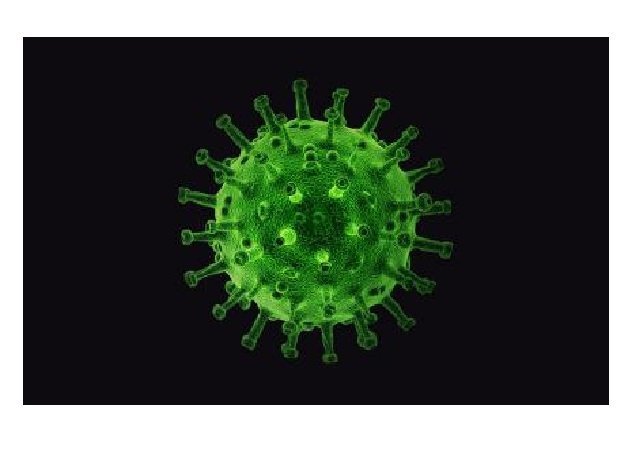 Biomédica alerta para perda intensa de cabelo pós-covid