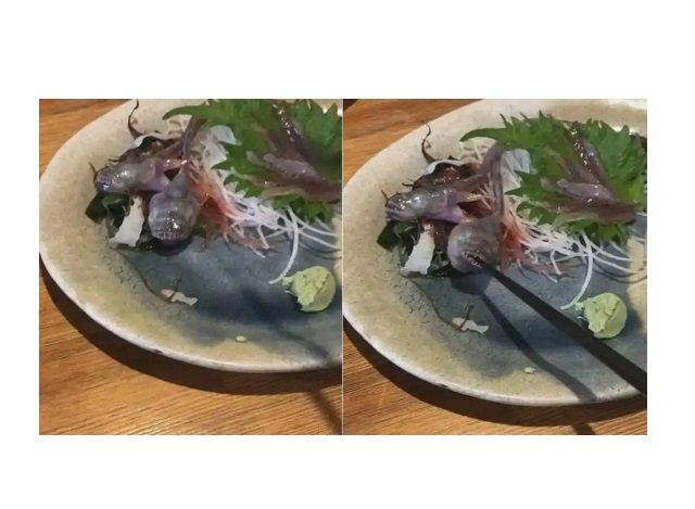 Peixe vivo ataca palito de madeira em restaurante japonês