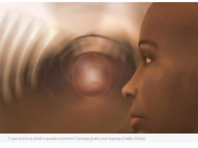 O que ocorre no cérebro quando morremos? Cientistas já têm uma resposta
