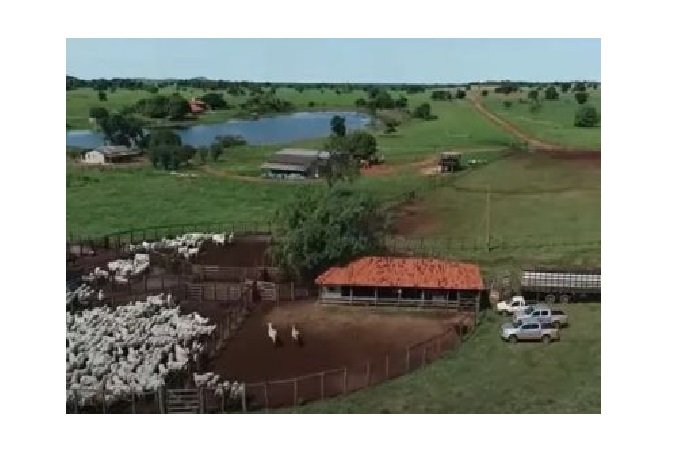 Cantor vende parte de fazenda em MT por R$ 13 mi; meta é arrecadar R$ 350 mi