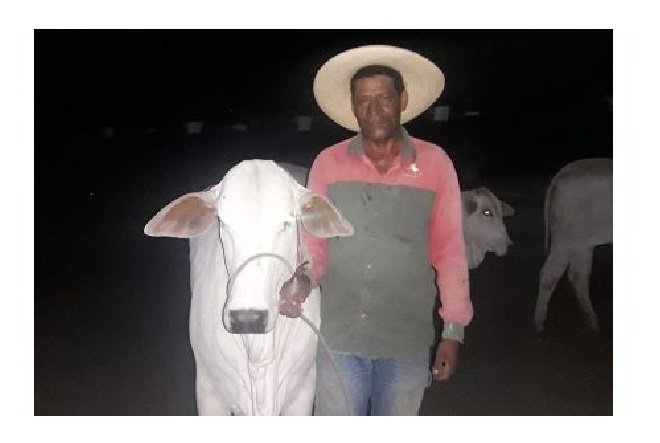 Trabalhador desaparece após deixar fazenda na Bolívia