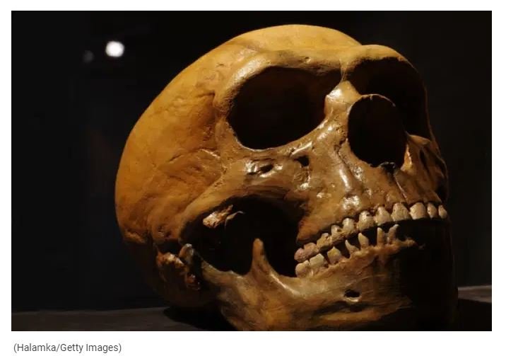 Pela primeira vez, DNA de neandertais é encontrado em africanos