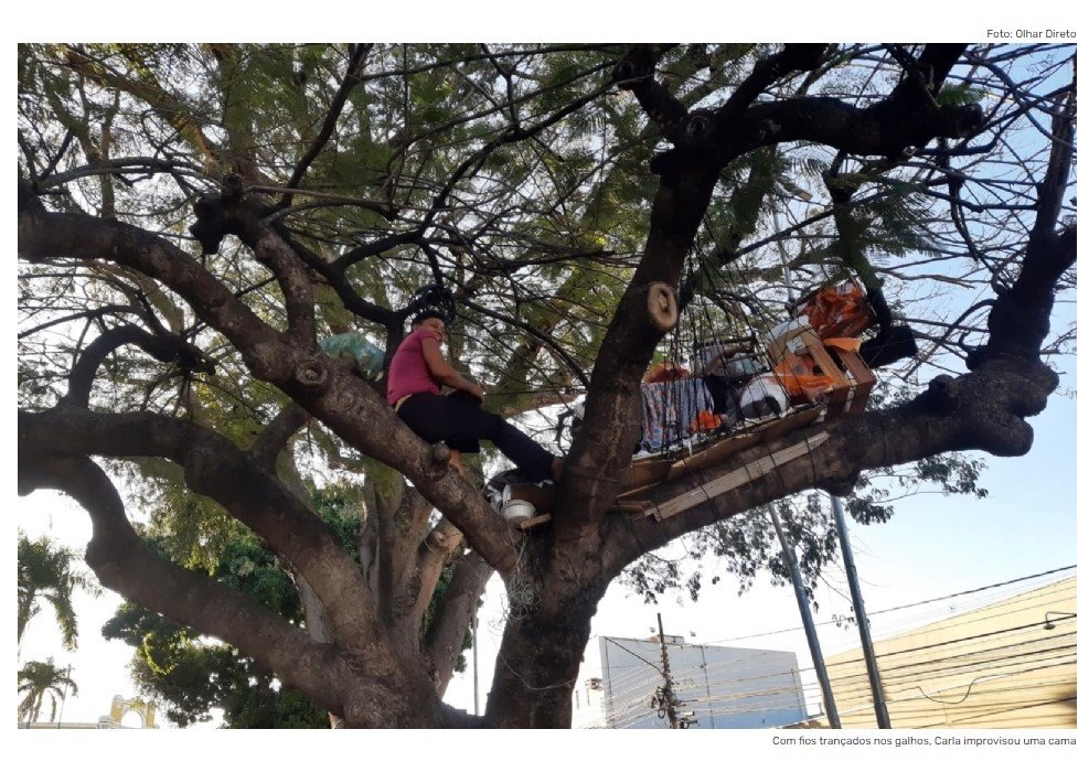 Sem dinheiro para pagar aluguel, cuiabana decide morar em cima de árvore em praça no Porto
