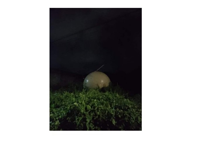 Esfera misteriosa cai sobre árvore no México e levanta suspeitas na internet
