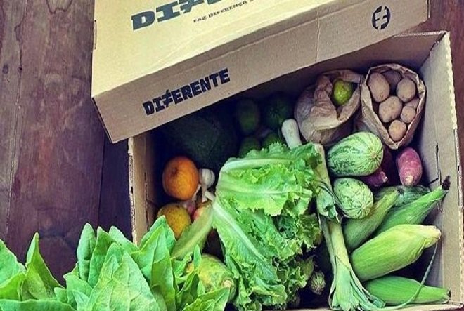 Xepa virtual ajuda consumidor a economizar até 70% nas compras