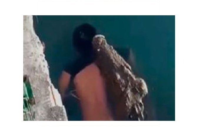 Crocodilo é flagrado nadando em lago com corpo de homem na boca; veja