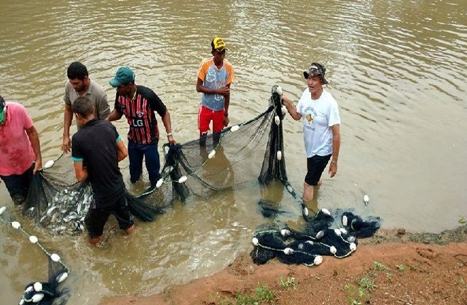 Exportações da piscicultura brasileira dobraram em valor em 2022