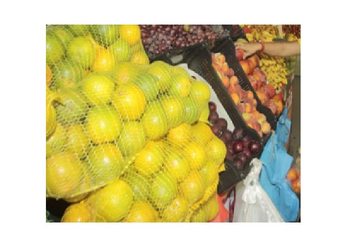 Bactéria transmitida por inseto obriga produtor de frutas cítricas a derrubar árvores