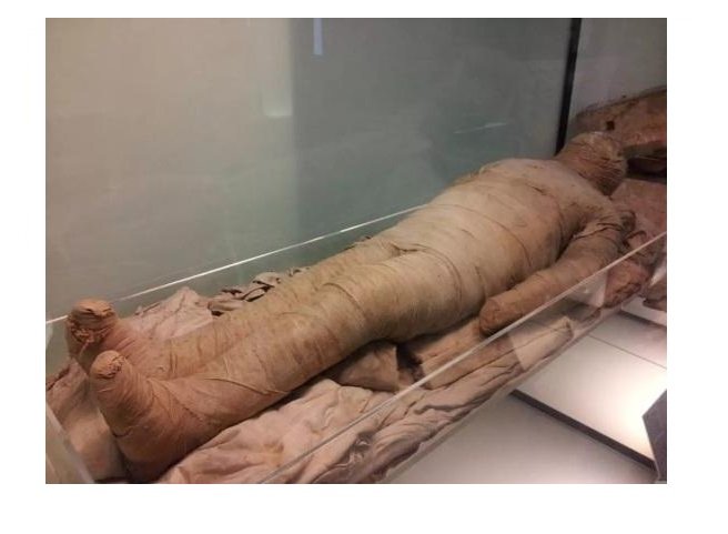 Mulher mumifica marido e esconde corpo por mais de um ano; veja fotos