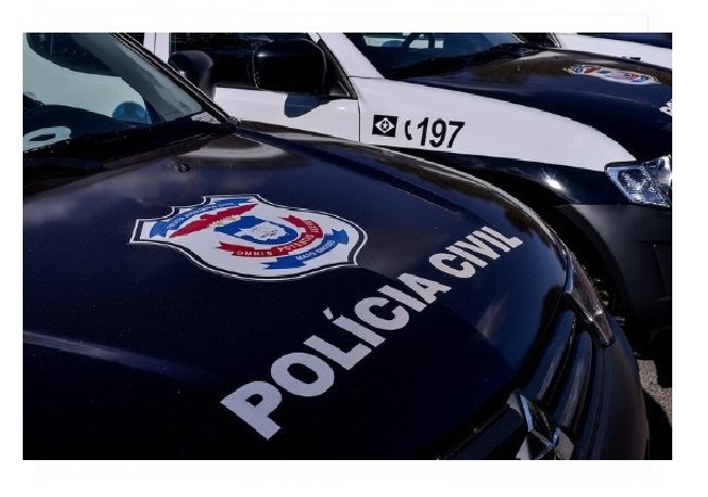 Proprietário de chácara denuncia violência sexual contra filhote de égua