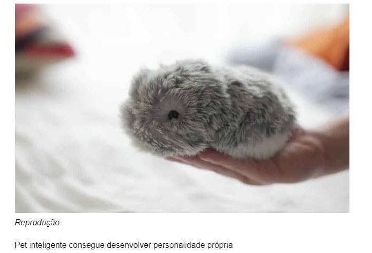 Conheça o pet robô que cria personalidade própria e pede carinho