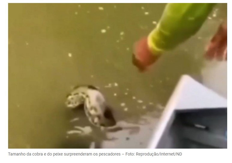 VÍDEO: Pescadores passam por momento inusitado ao pescar peixe com sucuri de brinde
