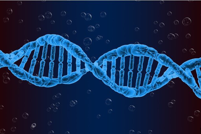 Eventos ocorridos na vida de nossos avós podem influenciar nossos genes; saiba mais