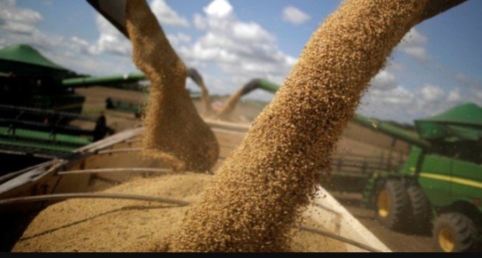 Orígeo, da Bunge e UPL, focará Mato Grosso em 2023 com potencial para triplicar clientes