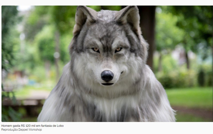 Homem gasta mais de R$ 120 mil para ficar parecido com um lobo