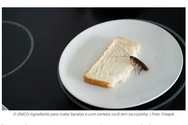 O ÚNICO ingrediente para matar baratas e com certeza você tem na cozinha