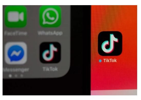 TikTok pede ajuda de Facebook e Instagram contra bloqueio nos EUA
