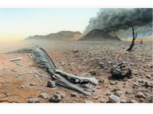 Cientistas identificam extinção em massa que deu origem aos dinossauros