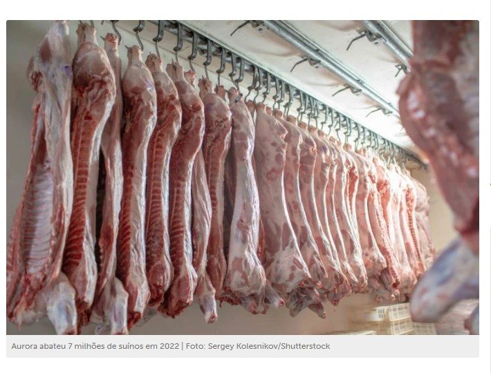 Agronegócio: cooperativa brasileira fatura R$ 22 bilhões em 2022