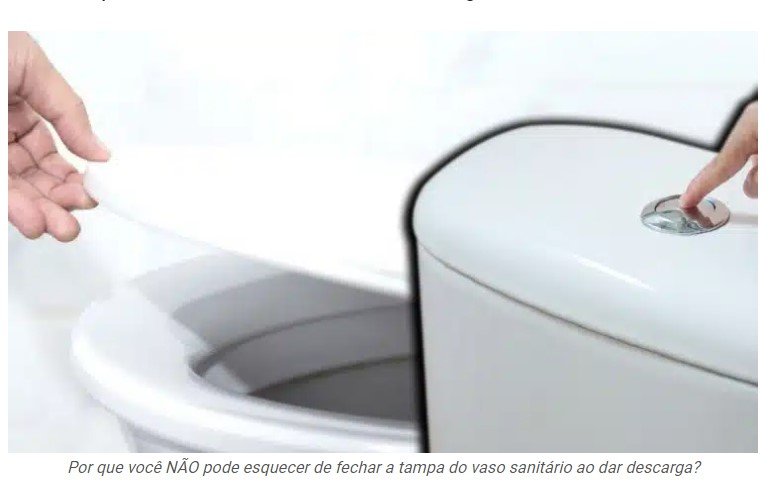 Por que você NÃO pode esquecer de fechar a tampa do vaso sanitário ao dar descarga?