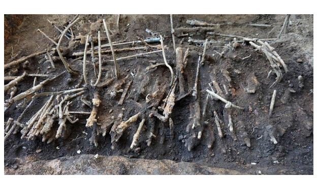 DESCOBRIRAM MILHARES DE ARMAS DA 2ª GUERRA MUNDIAL SOB ESCOLA DE TÓQUIO
