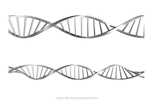 Pela 1ª vez, cientistas conseguem reverter envelhecimento de células humanas
