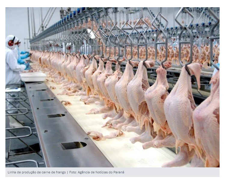Brasil quebra recorde de produção de carne de frango