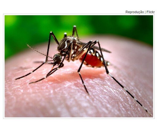 Dengue já matou 10 pessoas só este ano em Mato Grosso