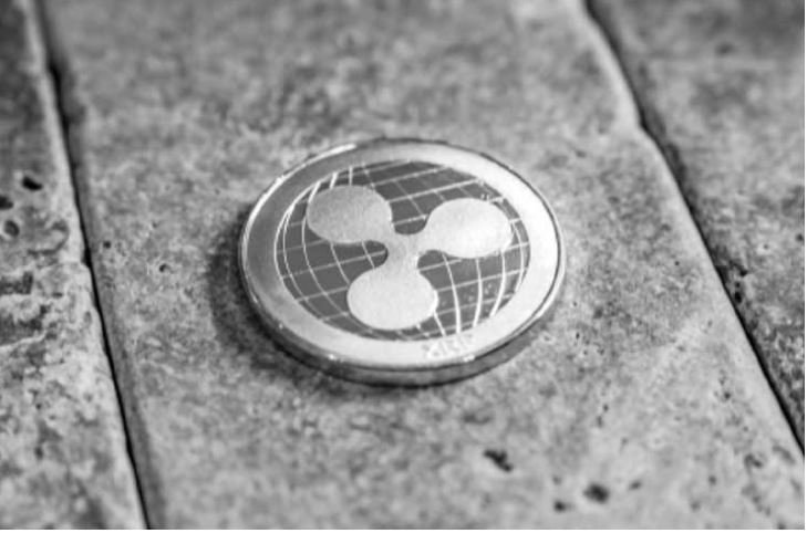 XRP está com tudo para 'bombar', aponta Michaël van de Poppe