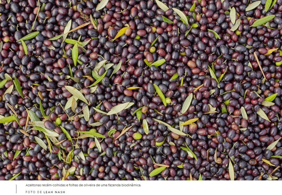 Este alimento pode te ajudar a ter mais anos de vida