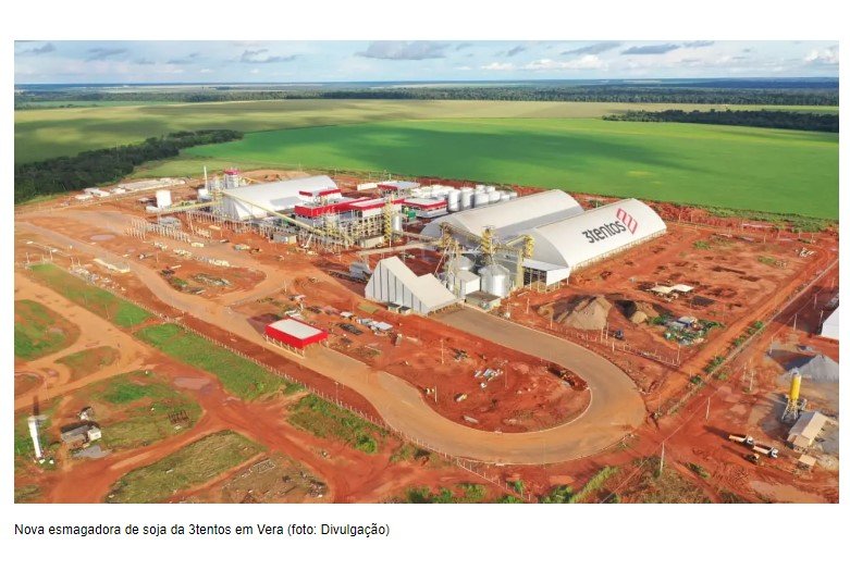 Mato Grosso amplia liderança no processamento de soja