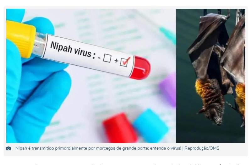 Vírus Nipah pode chegar ao Brasil e causar pandemia? Veja!